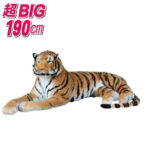  ʂ 190cm  A JbRCC  CeA   IuWF v[g Mtg a v[g ʂ A g 傫TCY
