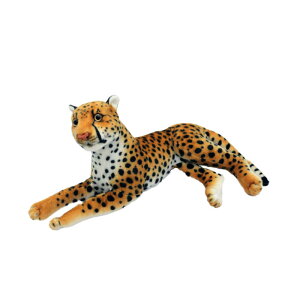 qE ʂ CeA   IuWF v[g Mtg a v[g ʂ