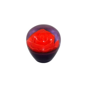 xTC[Y Vtgmu bh 50mm ϊA_v^[tgbN y yg fRg Vtg`FW g  UD OH Y U vtBA X[p[O[g NI W
