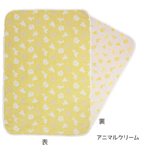 qLTCYr xr[ 6d K[[Pbg Ԃ q LbY QPbg Q Qp tWL ۈ牀 4dK[[Pbg xr[pi { Y  킢  Mtg 