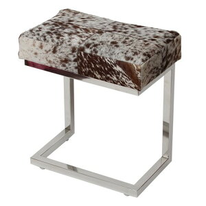 փXc[ J[t@є璣@X`[r Vo[bLdl@RpNgTCY@uE/AC{[yz