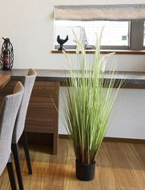 【展示現品】【傷み品特価】キャッツテールグラス（人工植物） 約122cm