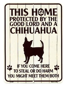 ` G PROTECTED BY THE GOOD LORD AND A CHIHUAHUA XSTCY AJuLŔ AJ uLŔ AJG AJG ^v[g ybg   Ŕ  JtF o