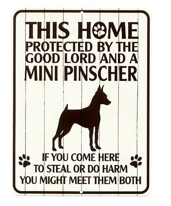 楽天市場 ミニチュアピンシャー 雑貨 Protected By The Good Lord And A Mini Pinscher 当店ｓサイズ アメリカンブリキ看板 アメリカ ブリキ看板 アメリカン雑貨 アメリカ雑貨 メタルプレート ペット 犬 動物 看板 おしゃれ カフェ バー 店舗 ガーデニング インテリア