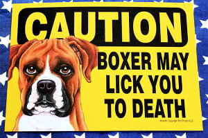 {NT[ G vX`bNv[g BOXER MAY LICK YOU TO DEATH {NT[ ObY AJ AJAi ybg  G