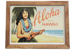 tK[ nC G Ebht[tsN`[ Aloha FROM HAWAII Ǐ ؐi nC nCA 썑 ObY G CeA gsJ |X^[