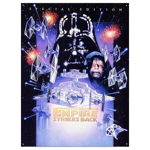 X^[EH[Y Gs\[h5 鍑̋tP THE EMPIRE STRIKES BACK AJuLŔ _[XxC_[ ppeB[ X^[fXgC[ uLŔ AJG AJG TCv