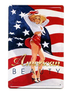 ZNV[ AJr[eB[ American BEAUTY ~jTCY G{XH ^v[g ^TC uLŔ AJ uLŔ AJG AJG K[W 