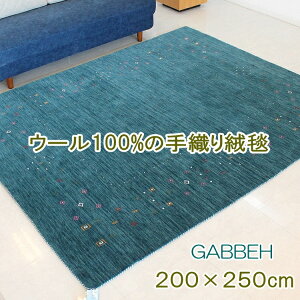 200×250cm Mbx O ChMx ot nh[ E[ DO~ ANZgO O~ 킢  Z^[O  ^[RCY イ rOO