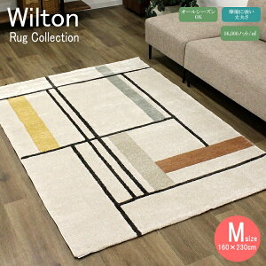 160×230cm EBgO J[ybg O gR ANZgO O~ 킢  _ Z^[O rO Q イ rOO t[[Zbg GRebNX