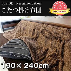 zc ` 190×240cm |zc | x[VbN_ tl Vv R^czc xzc ӂӂzc  |zc ӂӂ 