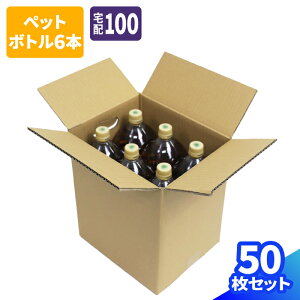 ダンボール 100サイズ 10枚〜50枚 (270×220×310) ペットボトル 6本用 2リットル ペットボトル 段ボール 100 ダンボール箱 段ボール箱 梱包資材 梱包材 梱包 宅配100 箱 宅配箱 ヤマト 宅急便 ヤマト