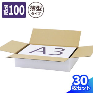 ^ _{[ 100TCY A3 10`30  (450×320×100) i{[ 100 _{[ ^ i{[    z100  A3TCY z }g } }g^A 䂤pbN 