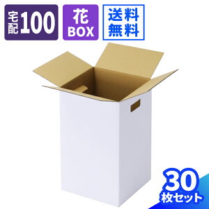 t[{bNX _{[ 100TCY 10`30 (267×267×439)   _{[ 100 i{[ ԑ _{[ i{[  u[P   z t[  Ԕ t[BOX t
