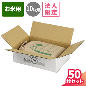 �y�@�l���范�������z���ėp 10kg �_���{�[�� 100�T�C�Y 50�� (400×275×120) �i�{�[�� 100 �_���{�[���� �i�{�[���� ����p ����� ����� ���� ��z100 �� ��z�� ���}�g ��}�� ���}�g�^�A �䂤