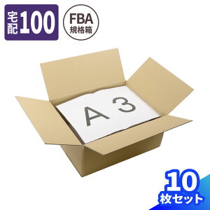 _{[ 100TCY 10 (443×343×187) Amazon FBA i{[ 100 _{[ i{[ fba  p     z }g } }g^A 䂤pbN  z 