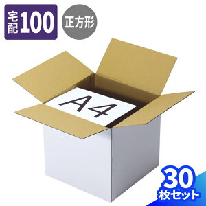  _{[ 100TCY 10`30 (327×327×322) 3Ӎv100cm i{[ 100 _{[ i{[ z100 ̂̔  p    z }g } }g^A 
