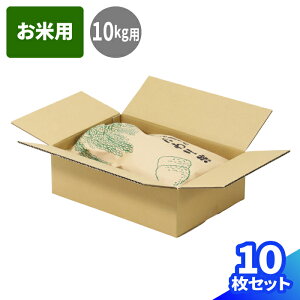 �y�@�l���范�������z���� �_���{�[�� 10kg 100�T�C�Y 50�� (400×275×120) B4 �i�{�[�� 100 �_���{�[���� �i�{�[���� ����p ����� ����� ���� ��z100 �� ��z�� ���}�g ��}�� ���}�g�^�A ���� 