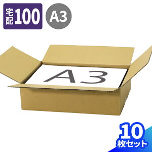 ダンボール 100サイズ 薄型 10枚 (440×310×120) 段ボール 100 ダンボール箱 段ボール箱 宅配100 A3サイズ 箱 梱包用 梱包資材 梱包材 梱包 箱 宅配箱 宅配 ヤマト 宅急便 ヤマト運輸 ゆうパック 佐川