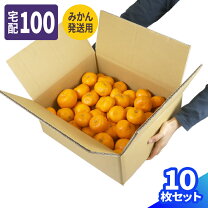 楽天市場】5kg ダンボールの通販