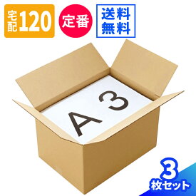 【着後レビューで次回使えるクーポンGET】ダンボール 120サイズ 3枚 (450×310×276) 120サイズ ダンボール 段ボール 120 ダンボール箱 宅配120 段ボール箱 梱包資材 梱包 箱 宅配 引っ越し 引っ越し用 引越し ヤマト運輸 ボックス 収納 通販 発送 クラフト (0263)