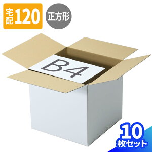  _{[ 120TCY 5 10 (394×394×387) 3Ӎv120cm i{[ 120 _{[ i{[ z100  p    z }g } }g^A 䂤pbN 