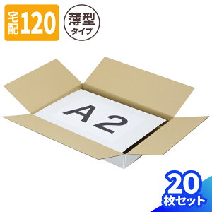 薄型 ダンボール 120サイズ 10枚 20 (620×440×80) 段ボール 宅配120 ダンボール箱 A2サイズ 120 段ボール箱 梱包用 梱包資材 梱包 箱 A2 宅配 発送箱 ヤマト 宅急便 ヤマト運輸 ゆうパック 佐川 宅配
