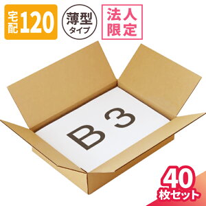 y@l̔z_{[ 120TCY 10 15 (530×380×120) ^ i{[ z120 _{[ B3TCY 120 i{[ p    B3 z }g } }g^A 䂤p