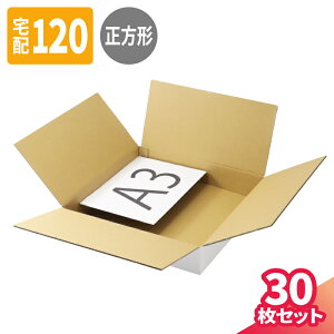 薄型 ダンボール 120サイズ 30枚 (520×520×100) 正方形 ダンボール 段ボール 120 段ボール箱 梱包用 梱包資材 梱包材 梱包 宅配120 箱 宅配箱 ヤマト 宅急便 ヤマト運輸 ゆうパック 佐川 宅配 衣類