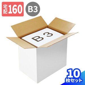白 ダンボール 160サイズ 5枚 10枚 (600×400×540) EMS 段ボール 160 ダンボール箱 B3サイズ 段ボール箱 梱包用 梱包資材 梱包材 梱包 宅配160 箱 宅配箱 ヤマト 宅急便 ゆうパック 佐川 宅配 家電 収納