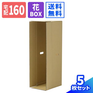 t[{bNX _{[ 160TCY 5 (267×267×980)   _{[ ϗtA dʕp 160 i{[ ԑ cJ  u[P   z {bNX t[  Ԕ t[BOX 