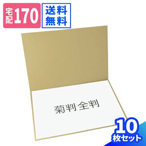 _{[V[g e 10 (970×660×1) 2܂ _{[  _{[ 170TCY i{[ _{[pbh e i{[ p    z [ |X^[  䎆