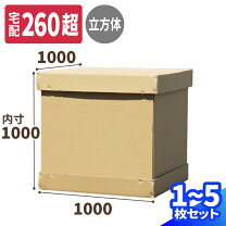 楽天市場】ダブル カートン 段ボールの通販