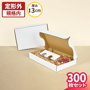 `OX _{[ nKLTCY 10`300 (157×107×24) ^_{[ A6 i{[ _{[ i{[ `O 䂤pPbg     ͂ nKL ^ 