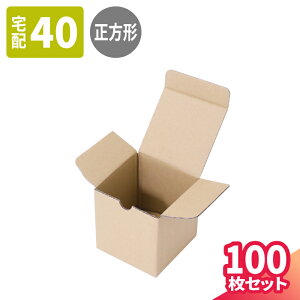 ^ _{[ 40TCY 10`100 (100×100×100) ` _{[ ^_{[ i{[ _{[ i{[    z40 }g } 䂤pbN  50TCY 