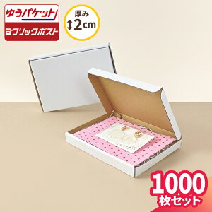 NbN|Xg  A6 1000 (153×110×17) `O _{[ ^ i{[ A6TCY _{[ i{[ 䂤pPbg  `OX 䂤[    [֑Ή A