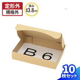 定形外郵便 ダンボール 10枚 B6 (187×133×35)定形外 規格外 ダンボール 段ボール B6サイズ ダンボール箱 段ボール箱 梱包 梱包資材 梱包材 梱包箱 宅配 ヤマト運輸 アクセサリー 小型 小さい 薄型 薄い メール便 発送箱 メルカリ (0282)