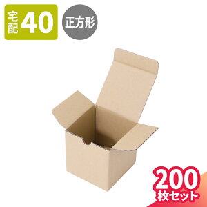 ^ _{[ 40TCY 200 (100×100×100) ` _{[ ^_{[ i{[ _{[ i{[    z40 }g } 䂤pbN  50TCY z60 