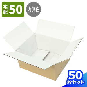 _{[ 50TCY 10`50 (212×172×102) i{[ 60 _{[ i{[ p    z60  z }g } }g^A 䂤pbN  z {bNX A5 