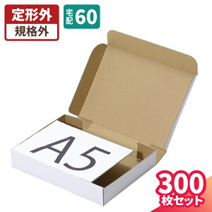 }փRpNgɓ _{[ 300 A5 (238×176×42) 60TCY i{[ A5TCY _{[ i{[ p    z60  z }g } 䂤pbN z {