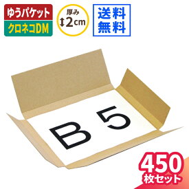 【送料無料】ネコポス ゆうパケット 箱 450枚 (262×187×16) クロネコDM便 ダンボール B5 段ボール ダンボール箱 段ボール箱 宅配 クリックポスト 箱 ゆうメール 梱包 梱包資材 梱包材 梱包箱 箱 定形外 メール便 規格内 小型 小さい 薄型 薄い CD DVD カタログ (45123)