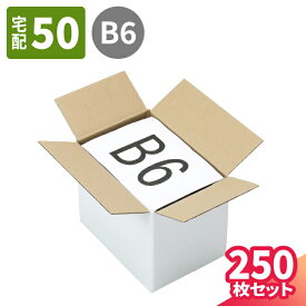 ダンボール 50サイズ 250枚 白 (198×133×153) 小型ダンボール 60サイズ 段ボール 60 ダンボール箱 段ボール箱 梱包用 梱包資材 梱包材 梱包 宅配60 箱 宅配箱 宅配 ヤマト運輸 B6 メルカリ 発送 本 収納 衣類 食品 サプリメント エコ段ボール (5445)