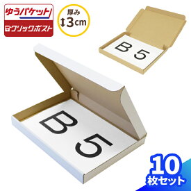 ゆうパケット ネコポス 箱 B5 厚さ3cm 10枚〜200枚 (267×192×25) ゆうパケット・クリックポスト対応 ダンボール 段ボール B5サイズ ダンボール箱 定形外 梱包 梱包用 梱包資材 梱包材 梱包箱 B5 郵送 小型 小さい アクセサリー メルカリ ハンドメイド 白箱 (0270/0401)