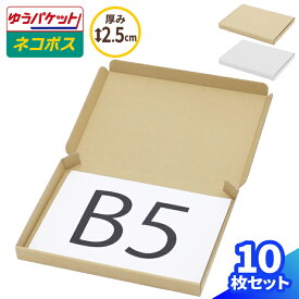 B5 ネコポス 箱 厚さ2.5cm 10枚〜200枚 (267×192×22) ゆうパケット・クリックポスト対応 ダンボール B5サイズ 薄型 段ボール ダンボール箱 段ボール箱 梱包 梱包資材 梱包材 メール便 規格内 定形外 薄い 小型 小さい メルカリ 発送 小物 ギフトボックス (0273/0495)