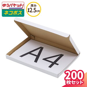 A4 lR|X  2.5cm 10`200 (297×215×22) NlR䂤pPbgENbN|XgΉ _{[ A4TCY ^ i{[ _{[ i{[ 䂤[    