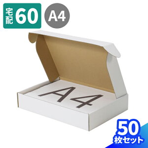 _{[ 60TCY A4 10`50 (305×215×55) ^_{[ i{[ 60 z60 _{[     z }g } 䂤pbN  z ^ [ ߗ  