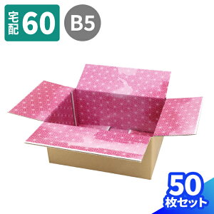  fUC _{[ 60TCY 10`50 (264×194×114) IW ԕ 킢 i{[ B5   z60 _{[ i{[   Mtg{bNX }g } [