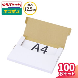 A4 lR|X  2.5cm 10`100 (305×220×20) lR|XΉ _{[ 䂤pPbg NbN|Xg i{[ _{[ i{[    A4TCY [ Ki 