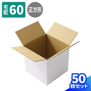 _{[ 60TCY 10`50  (194×194×188) ̃_{[ i{[ 60 _{[ i{[    z60 `  200p  ^   }g } 