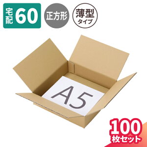 ` _{[ 60TCY 10`100 (250×250×60) ^ _{[ A5 i{[ 60 i{[ p    z60  A5TCY z }g } }g^A 䂤pbN 